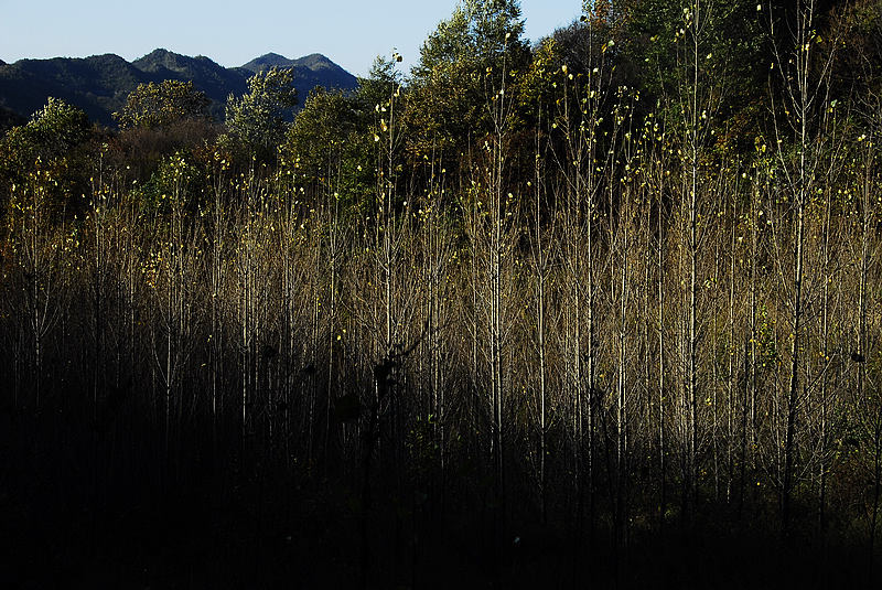 秋染太行