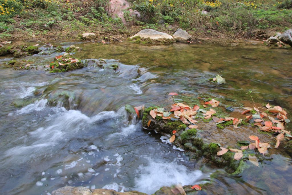 杨树沟