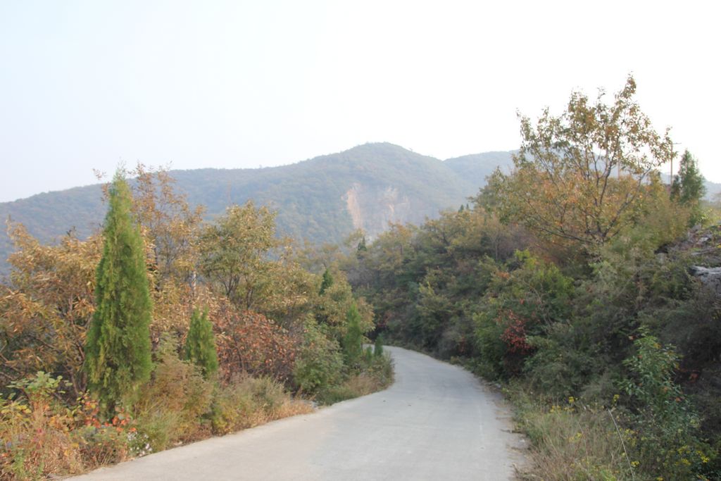 杨树沟