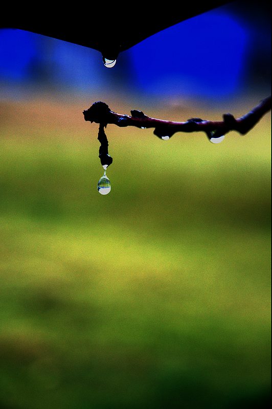 雨点