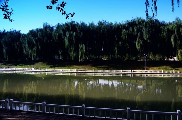 濮水景色