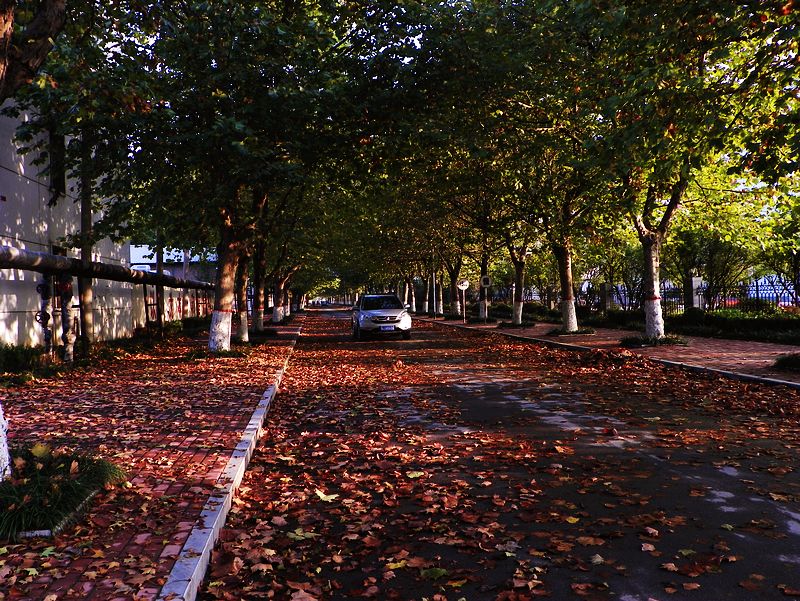 [原创]几片小景