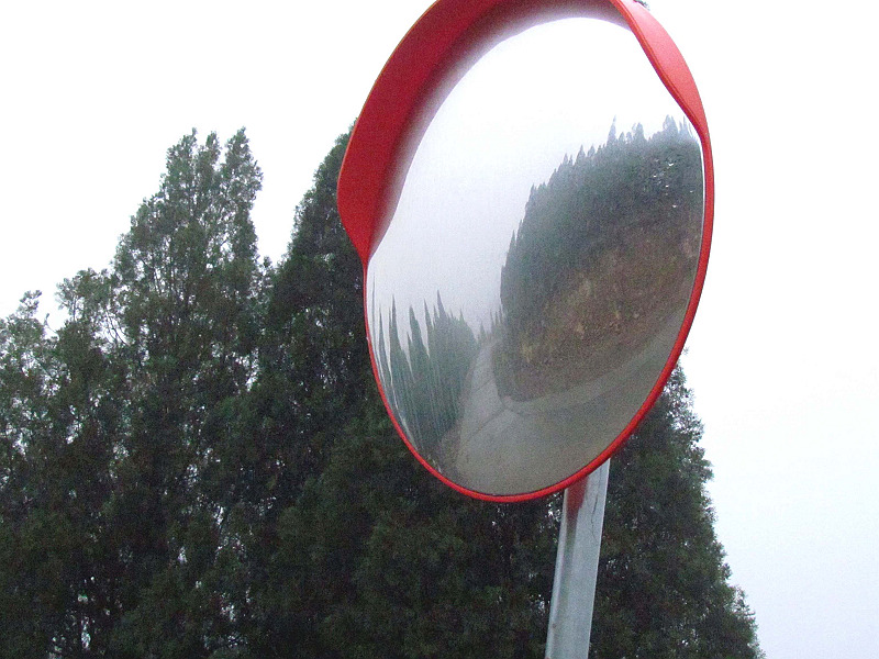 雾雨柏尖山