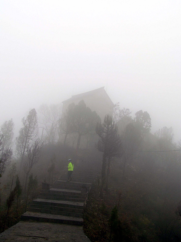 雾雨柏尖山