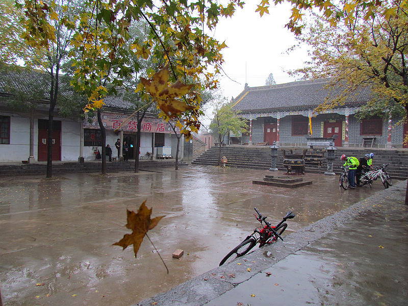 雾雨柏尖山