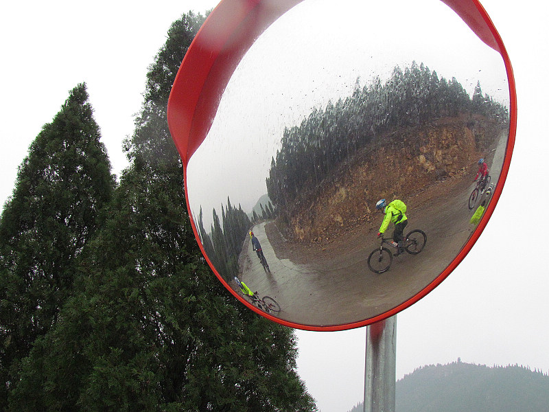 雾雨柏尖山