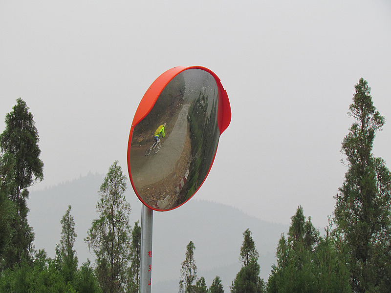 雾雨柏尖山