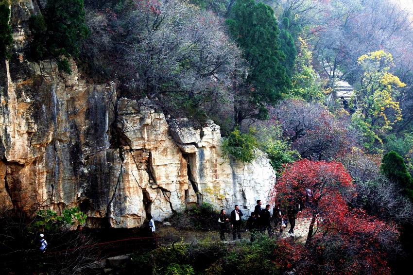 青山红叶叠翠岭