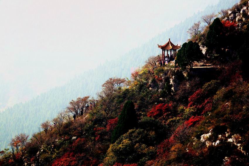 青山红叶叠翠岭