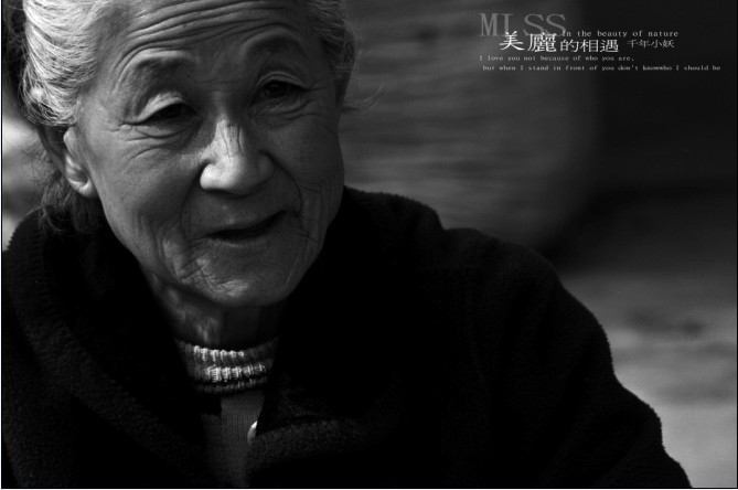 柿子红叶