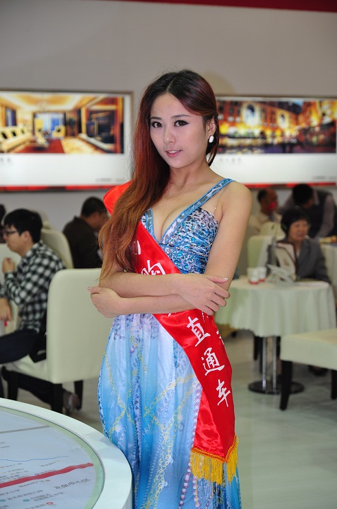 2011成都秋季房交会房模