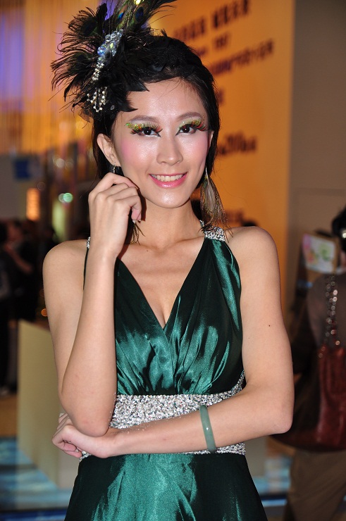 2011成都秋季房交会房模