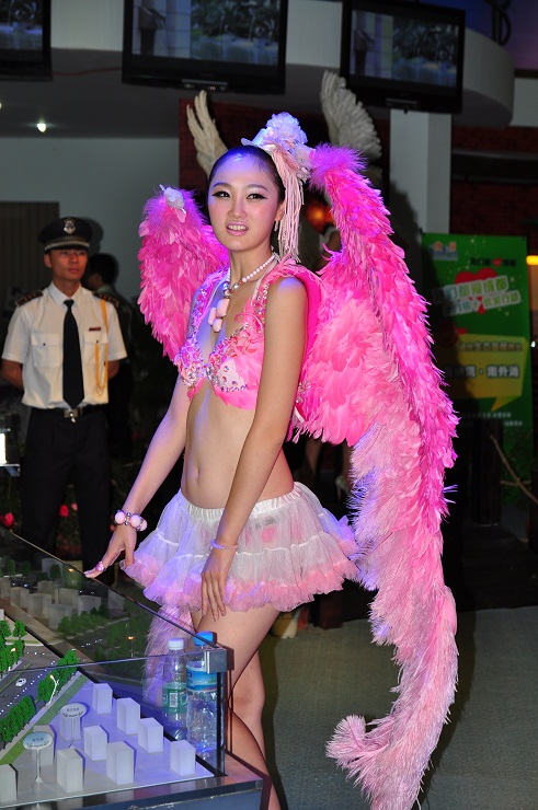 2011成都秋季房交会房模
