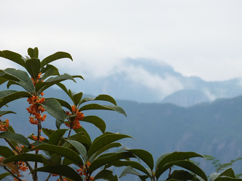 [原创]仙居--人间天堂，‘神仙居住过的地方’