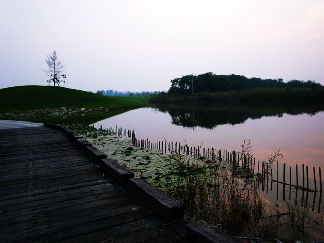 又到雁鸣吃蟹时