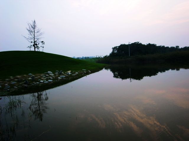 又到雁鸣吃蟹时