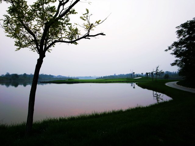 又到雁鸣吃蟹时