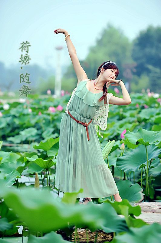 荷塘随舞