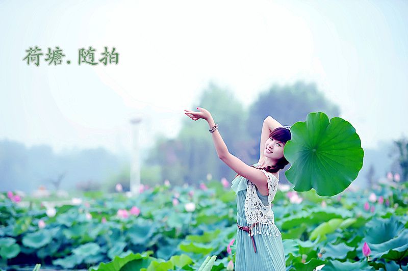 荷塘随舞