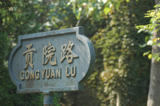 河大掠影