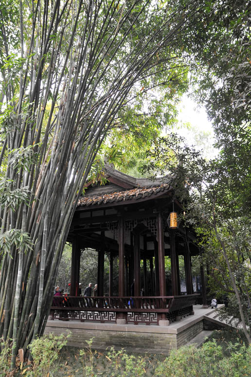 杜甫草堂掠影