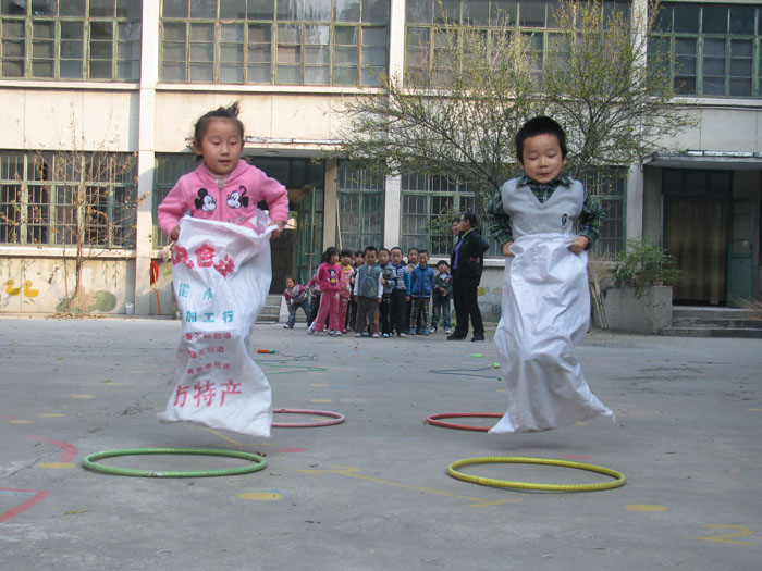 古树与果实