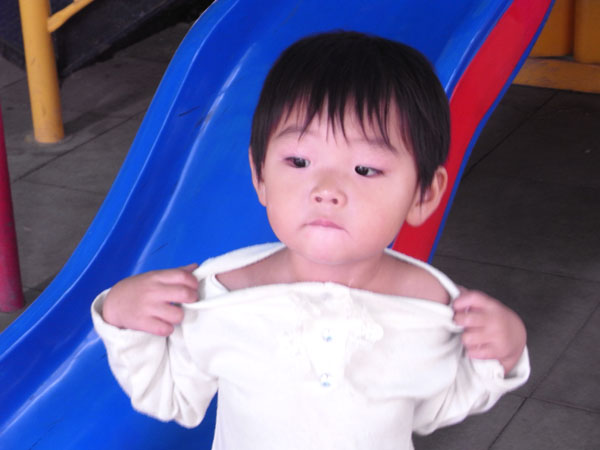 古树与果实
