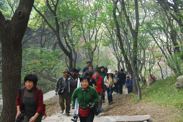 齐鲁秋韵摄影采风活动花絮