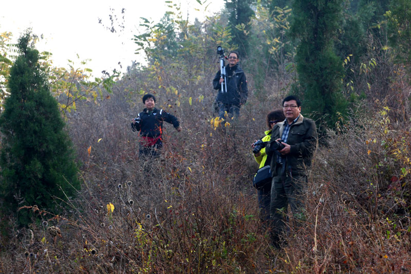 齐鲁秋韵摄影采风活动花絮