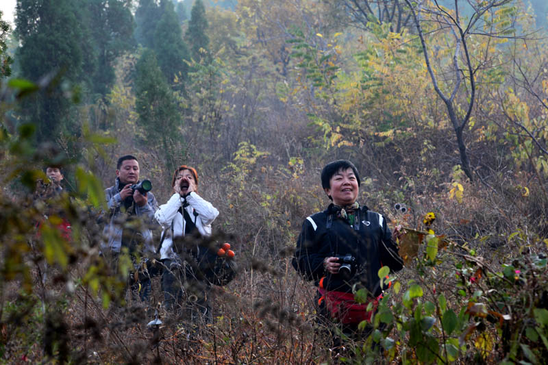 齐鲁秋韵摄影采风活动花絮
