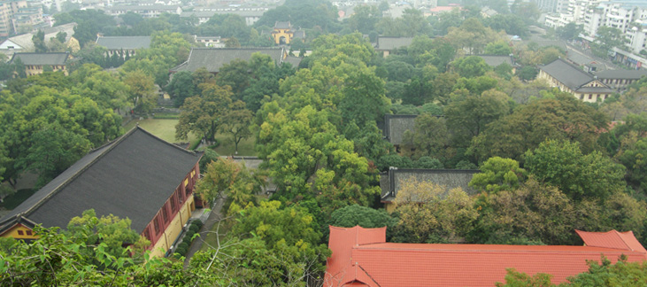 行摄桂林（超长综合篇）