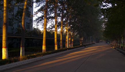 学习中