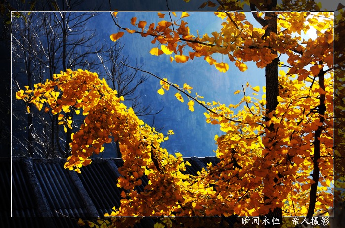 [原创]周末林州户外