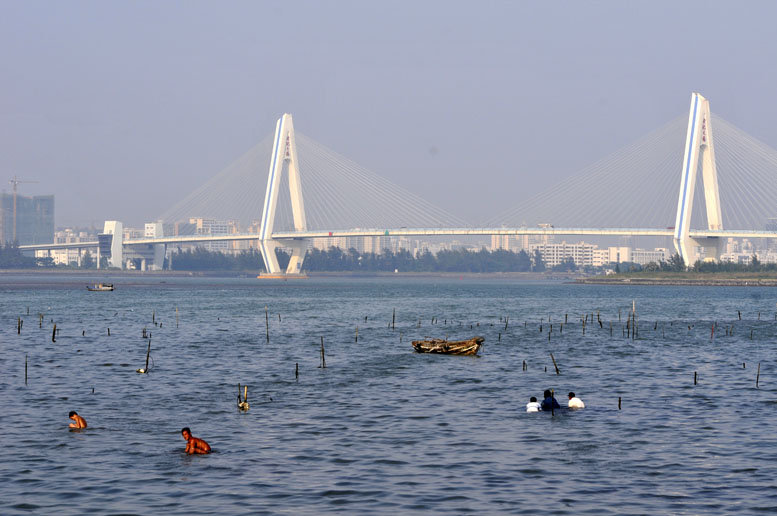 赶海