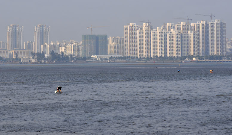 赶海