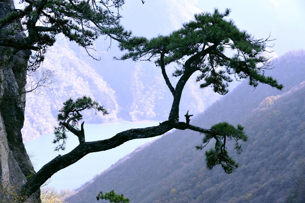 一路风光