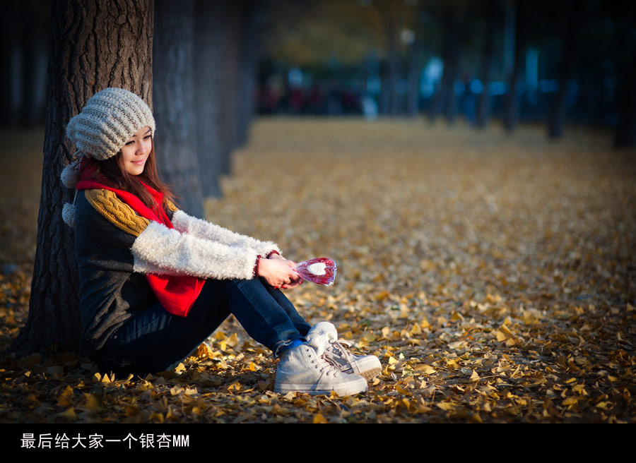 大家都说说濮阳哪里有银杏树？