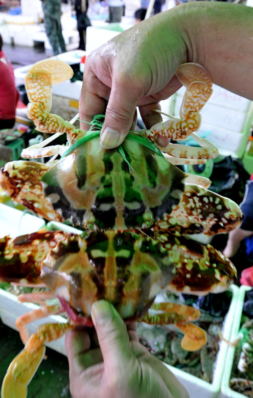 生猛海鲜吓倒你