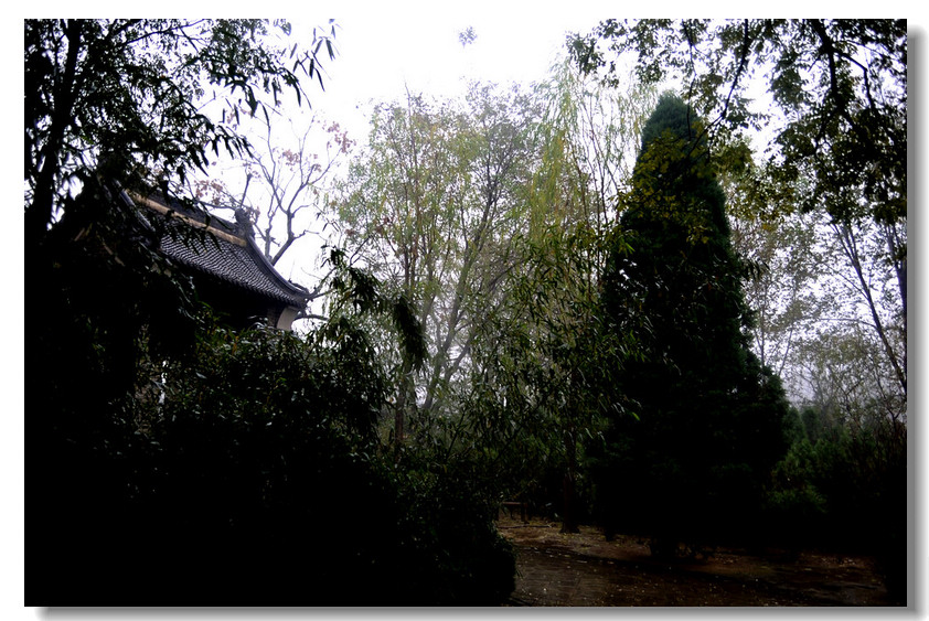 雨中的单拐