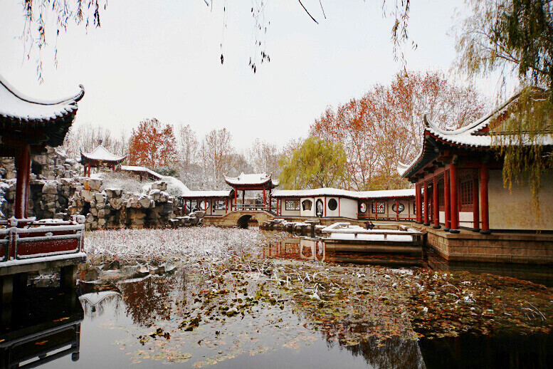 2011年第一场雪 比以往来得更晚一些