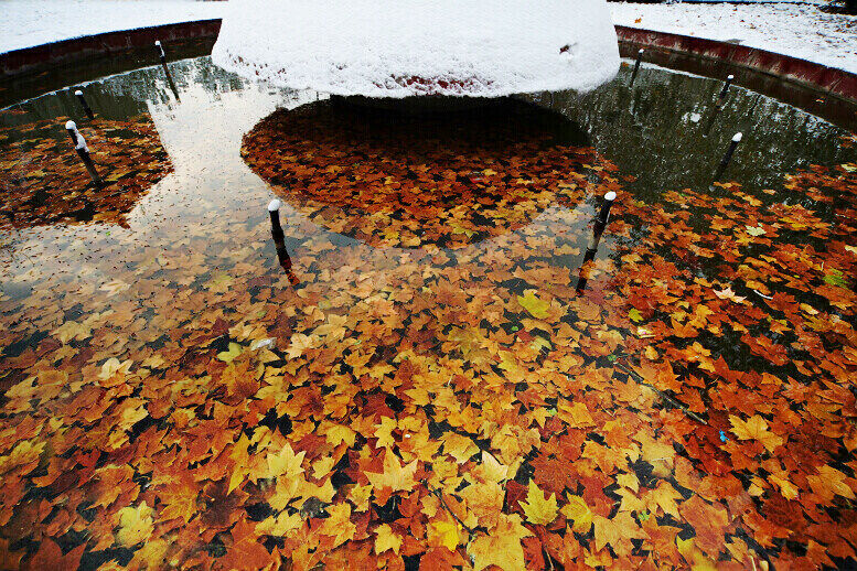 2011年第一场雪 比以往来得更晚一些