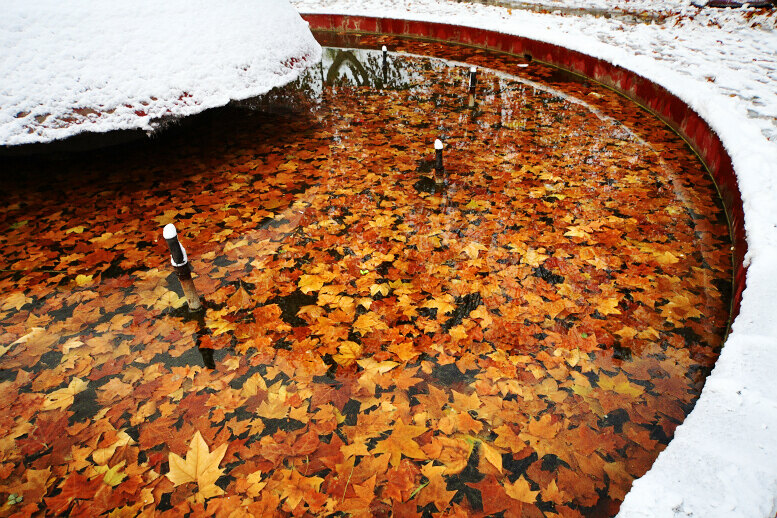 2011年第一场雪 比以往来得更晚一些
