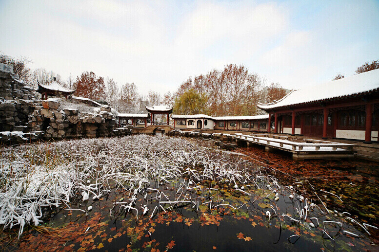 2011年第一场雪 比以往来得更晚一些