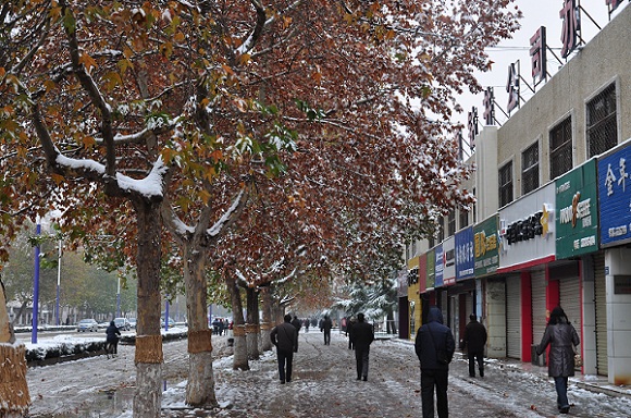 瑞雪兆丰年
