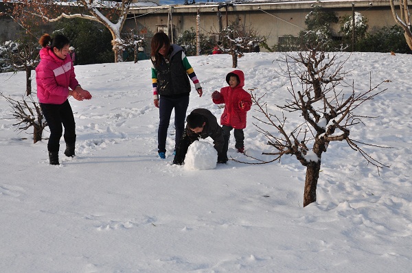 瑞雪兆丰年