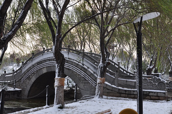 瑞雪兆丰年