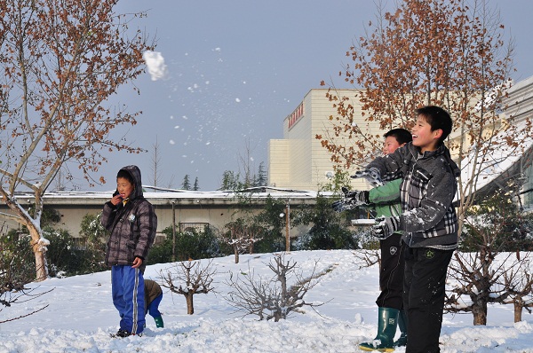瑞雪兆丰年