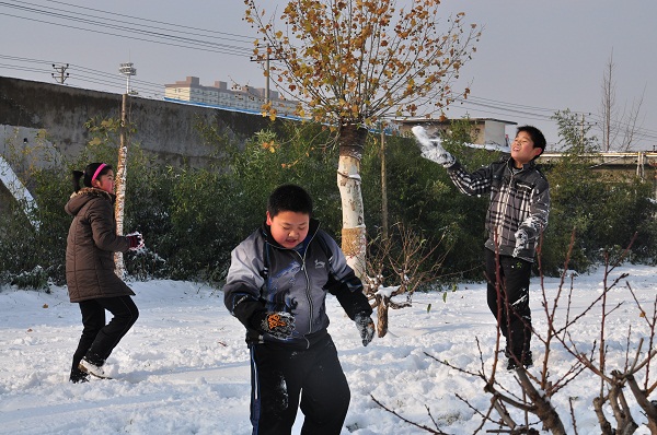 瑞雪兆丰年