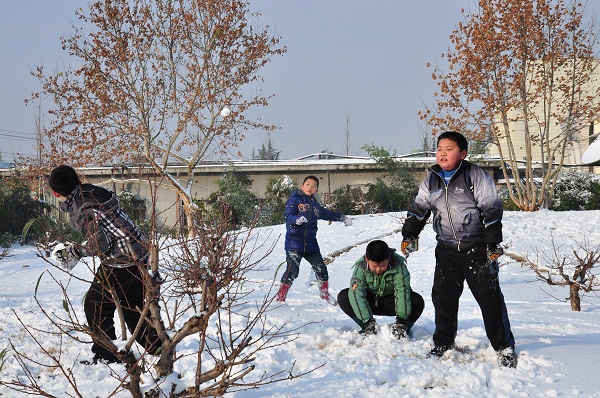 瑞雪兆丰年