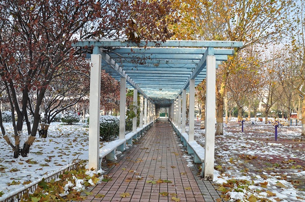 瑞雪兆丰年
